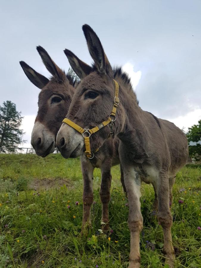 Agri-B&B Lou Col Canosio Zewnętrze zdjęcie