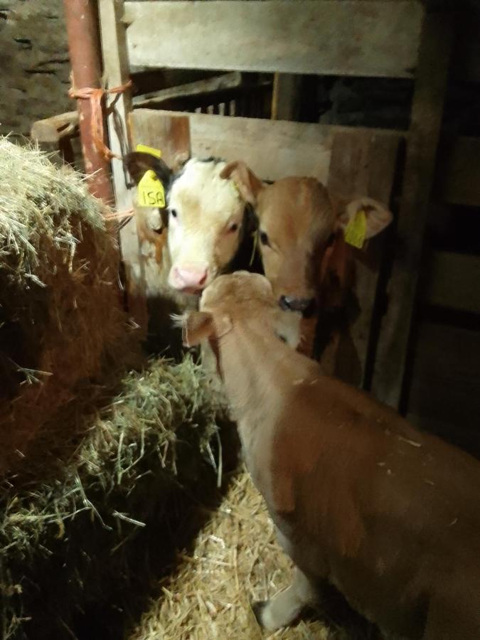 Agri-B&B Lou Col Canosio Zewnętrze zdjęcie