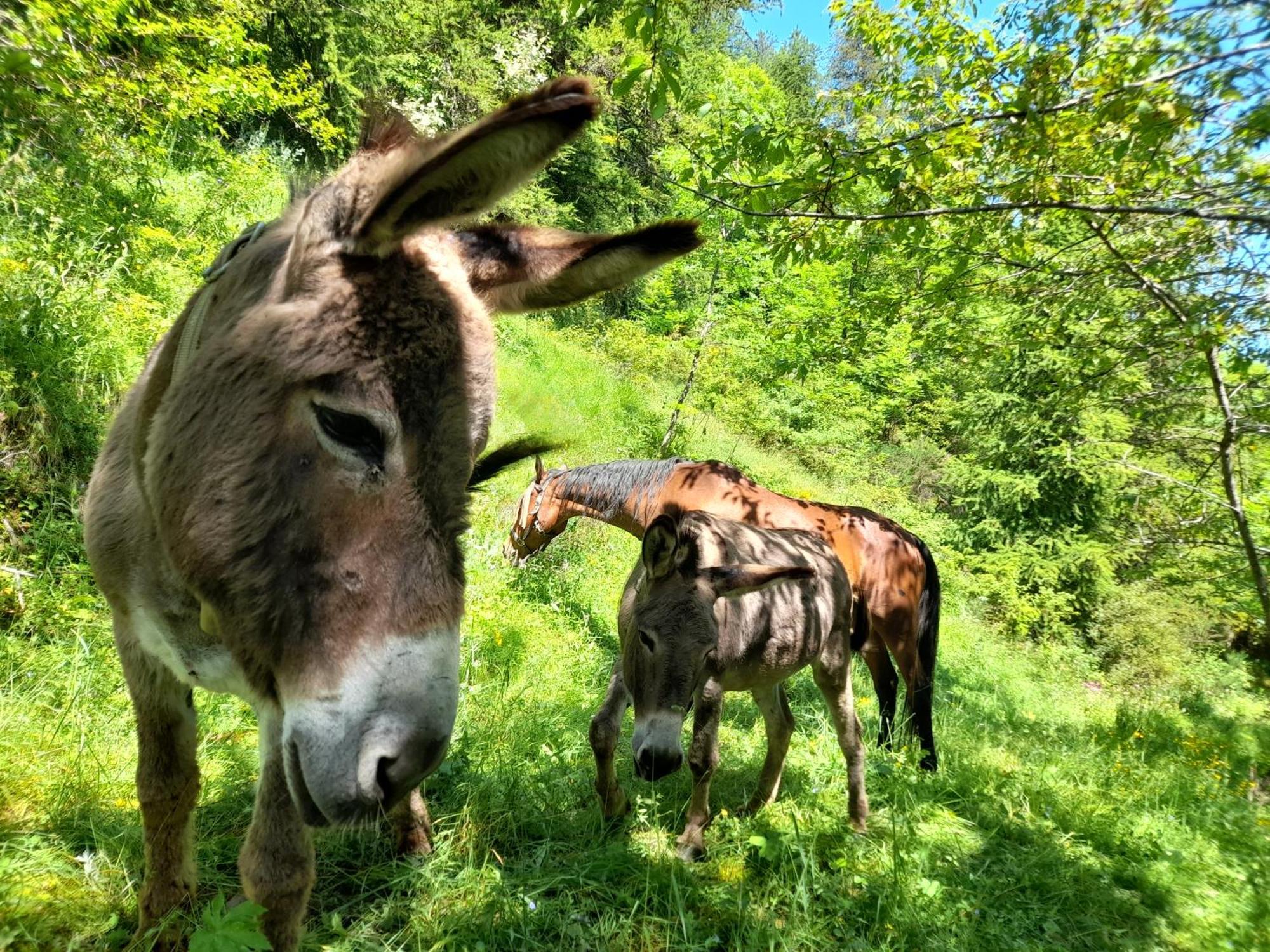 Agri-B&B Lou Col Canosio Zewnętrze zdjęcie